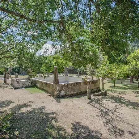 Liiiving In - Charming Garden بيت للعطل *